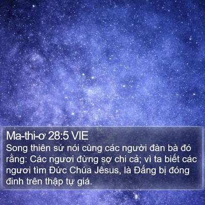 Ma-thi-ơ 28:5 VIE Bible Verse Image