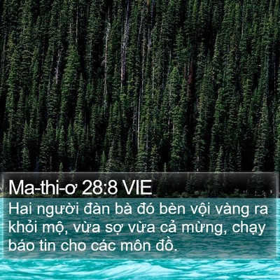 Ma-thi-ơ 28:8 VIE Bible Verse Image