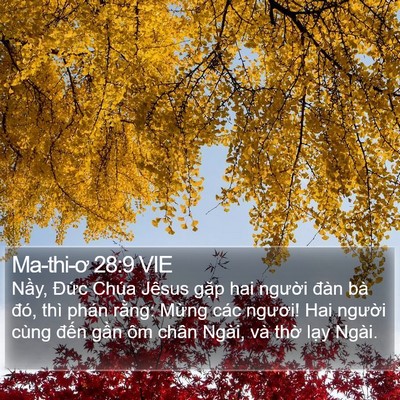 Ma-thi-ơ 28:9 VIE Bible Verse Image