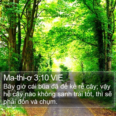 Ma-thi-ơ 3:10 VIE Bible Verse Image