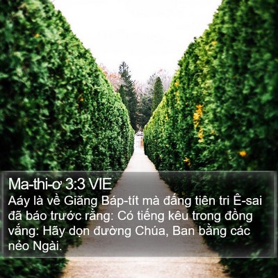 Ma-thi-ơ 3:3 VIE Bible Verse Image