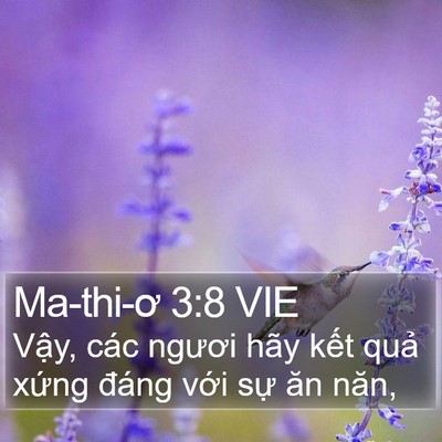 Ma-thi-ơ 3:8 VIE Bible Verse Image