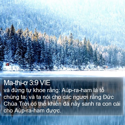 Ma-thi-ơ 3:9 VIE Bible Verse Image