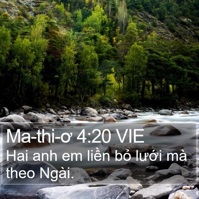 Ma-thi-ơ 4:20 VIE Bible Verse Image