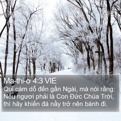 Ma-thi-ơ 4:3 VIE Bible Verse Image