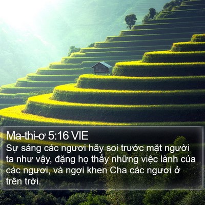 Ma-thi-ơ 5:16 VIE Bible Verse Image