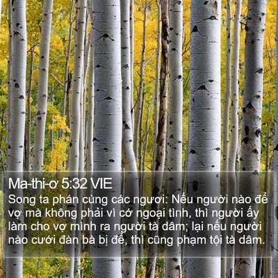 Ma-thi-ơ 5:32 VIE Bible Verse Image