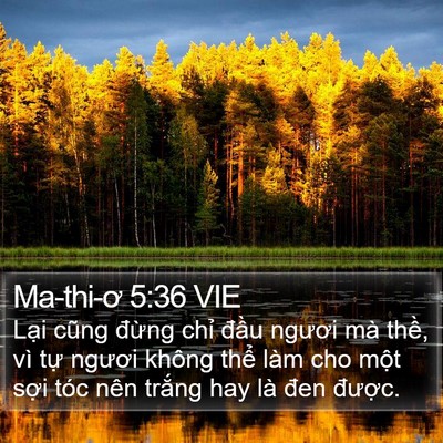 Ma-thi-ơ 5:36 VIE Bible Verse Image