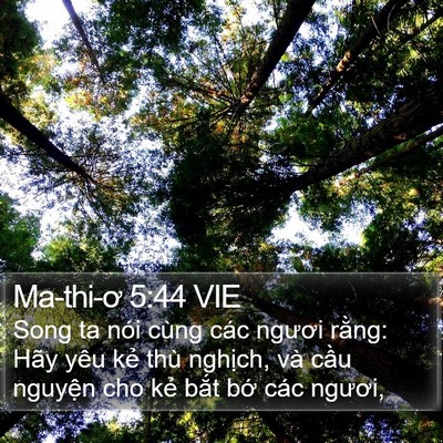 Ma-thi-ơ 5:44 VIE Bible Verse Image