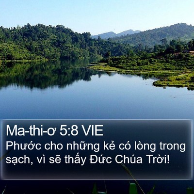 Ma-thi-ơ 5:8 VIE Bible Verse Image
