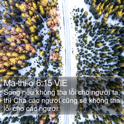 Ma-thi-ơ 6:15 VIE Bible Verse Image