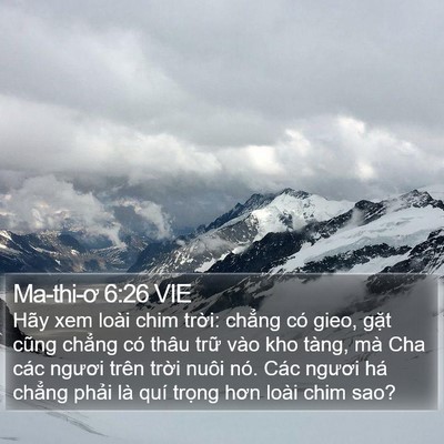 Ma-thi-ơ 6:26 VIE Bible Verse Image
