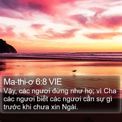Ma-thi-ơ 6:8 VIE Bible Verse Image