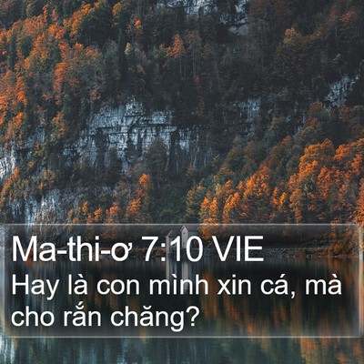 Ma-thi-ơ 7:10 VIE Bible Verse Image