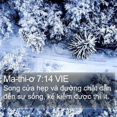 Ma-thi-ơ 7:14 VIE Bible Verse Image