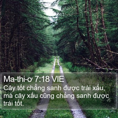 Ma-thi-ơ 7:18 VIE Bible Verse Image