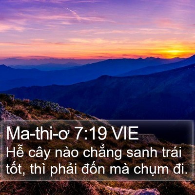 Ma-thi-ơ 7:19 VIE Bible Verse Image