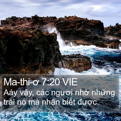 Ma-thi-ơ 7:20 VIE Bible Verse Image