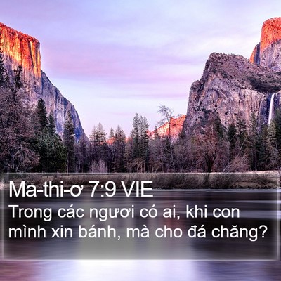 Ma-thi-ơ 7:9 VIE Bible Verse Image