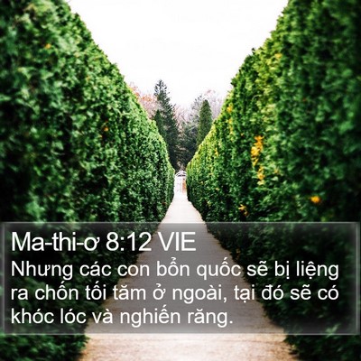 Ma-thi-ơ 8:12 VIE Bible Verse Image