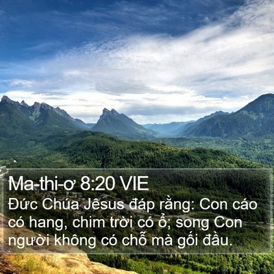 Ma-thi-ơ 8:20 VIE Bible Verse Image