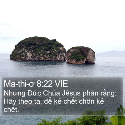 Ma-thi-ơ 8:22 VIE Bible Verse Image