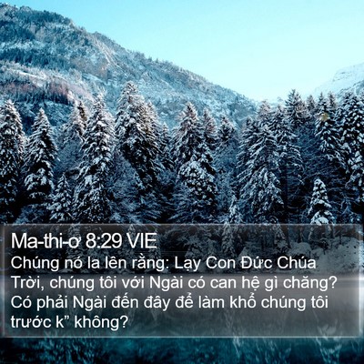 Ma-thi-ơ 8:29 VIE Bible Verse Image