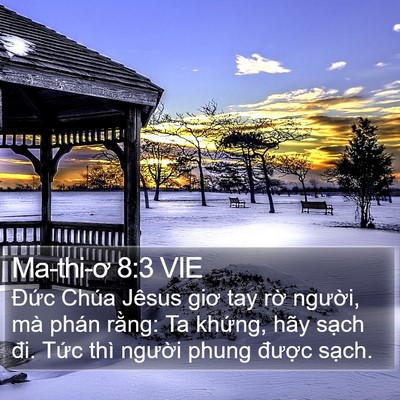 Ma-thi-ơ 8:3 VIE Bible Verse Image