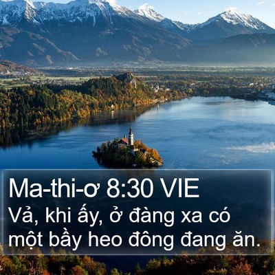 Ma-thi-ơ 8:30 VIE Bible Verse Image