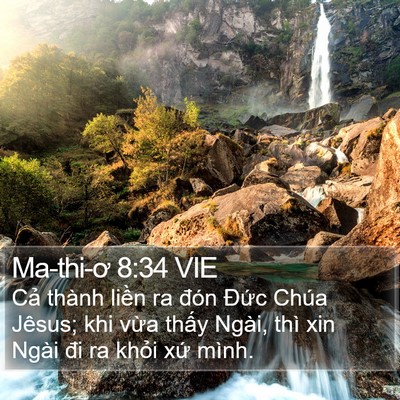 Ma-thi-ơ 8:34 VIE Bible Verse Image