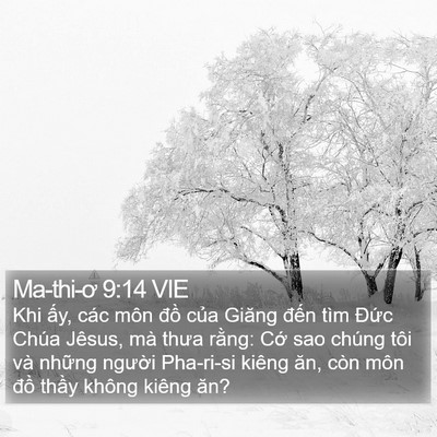 Ma-thi-ơ 9:14 VIE Bible Verse Image