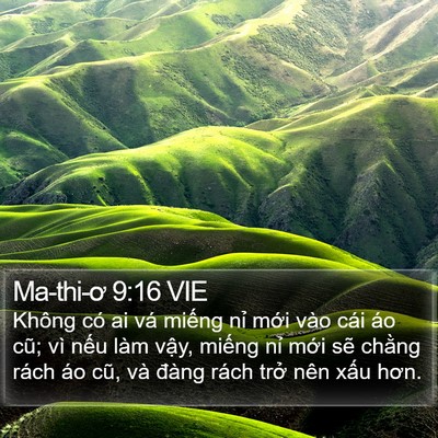 Ma-thi-ơ 9:16 VIE Bible Verse Image