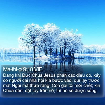Ma-thi-ơ 9:18 VIE Bible Verse Image