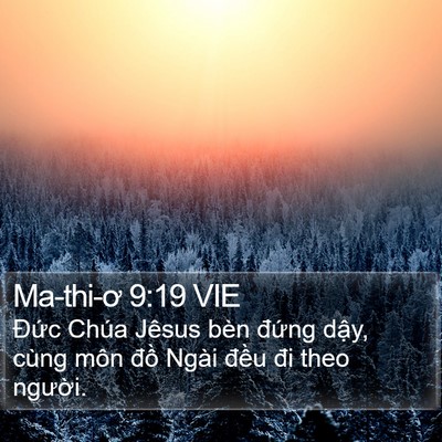 Ma-thi-ơ 9:19 VIE Bible Verse Image