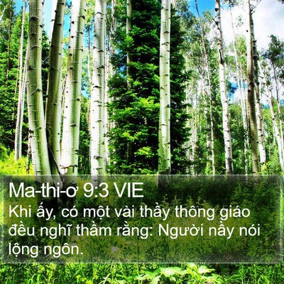 Ma-thi-ơ 9:3 VIE Bible Verse Image