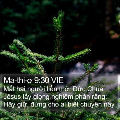 Ma-thi-ơ 9:30 VIE Bible Verse Image