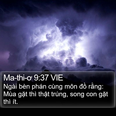 Ma-thi-ơ 9:37 VIE Bible Verse Image