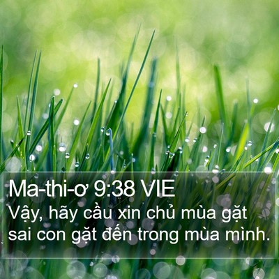 Ma-thi-ơ 9:38 VIE Bible Verse Image