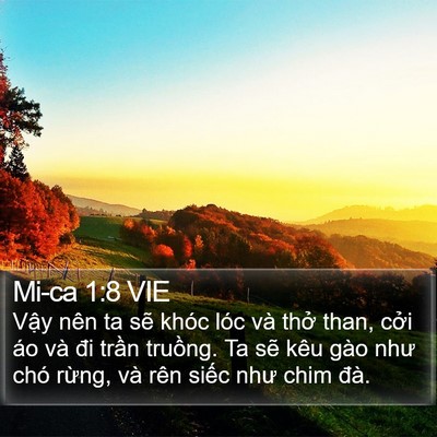 Mi-ca 1:8 VIE Bible Verse Image