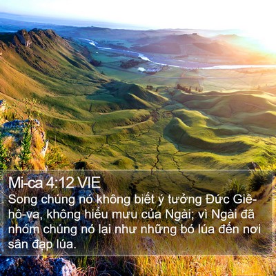 Mi-ca 4:12 VIE Bible Verse Image