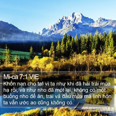 Mi-ca 7:1 VIE Bible Verse Image