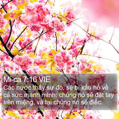 Mi-ca 7:16 VIE Bible Verse Image