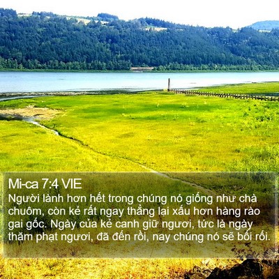 Mi-ca 7:4 VIE Bible Verse Image