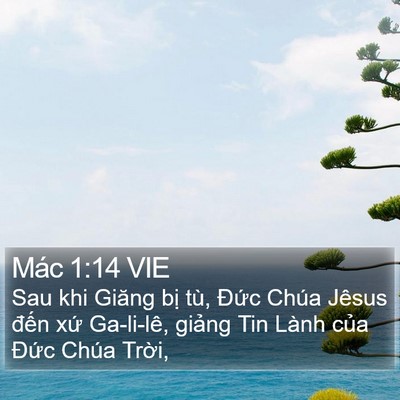 Mác 1:14 VIE Bible Verse Image