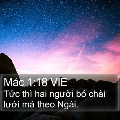 Mác 1:18 VIE Bible Verse Image