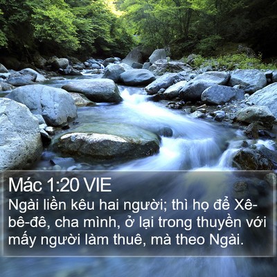 Mác 1:20 VIE Bible Verse Image