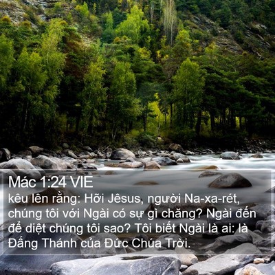 Mác 1:24 VIE Bible Verse Image