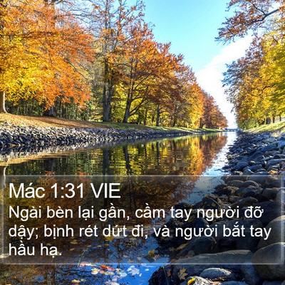 Mác 1:31 VIE Bible Verse Image