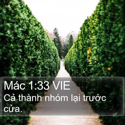 Mác 1:33 VIE Bible Verse Image