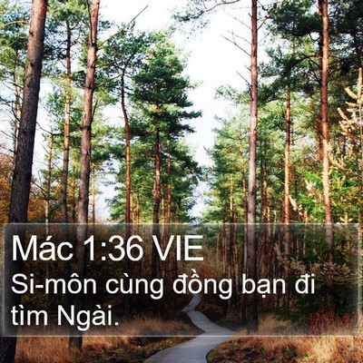 Mác 1:36 VIE Bible Verse Image